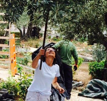 Israel-picture-in-the-garden-thumb