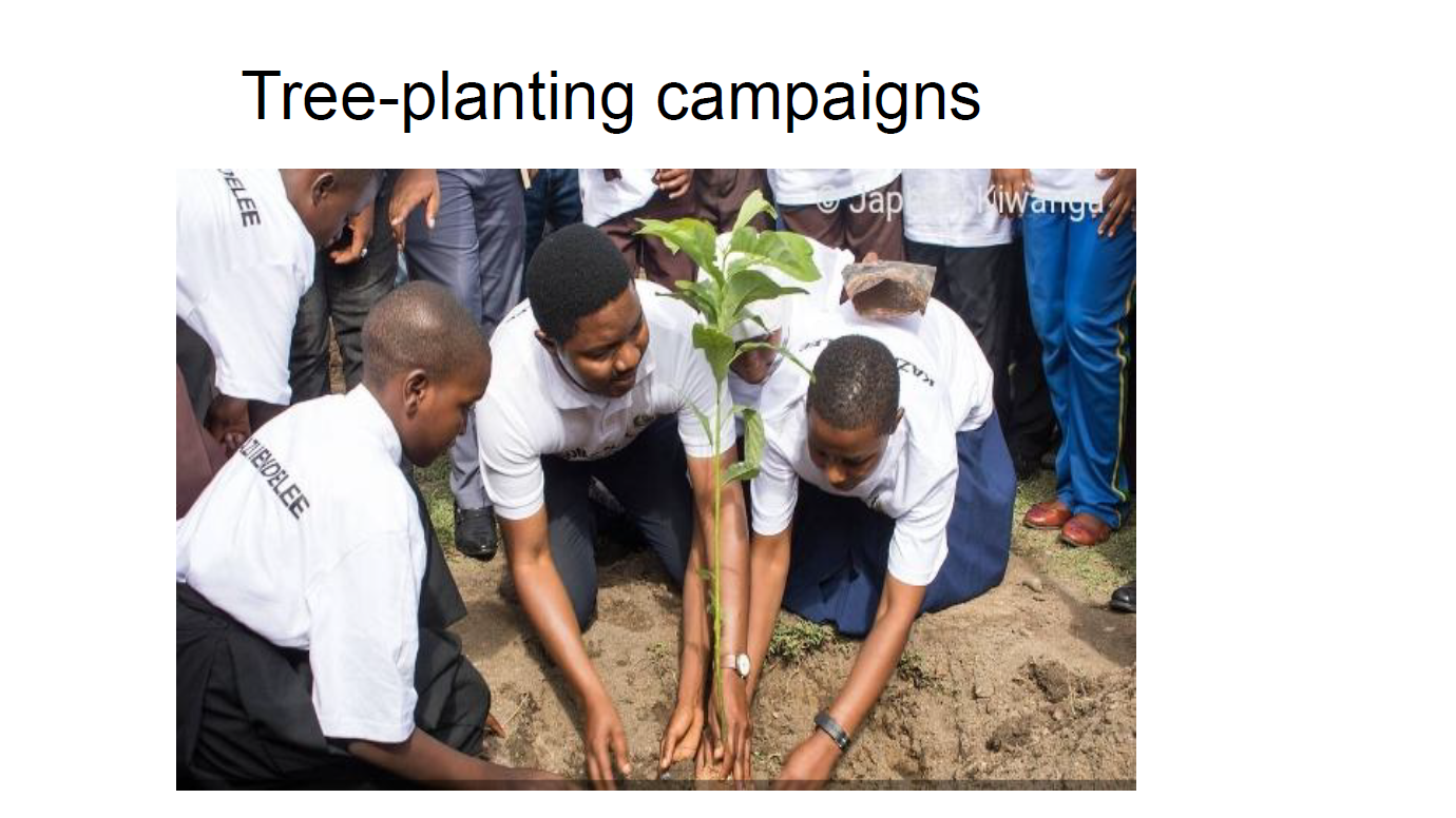 Teen Aglow Tree Planting